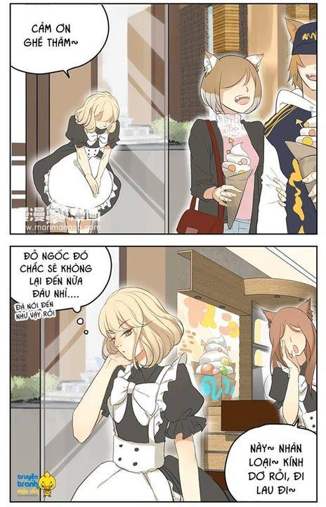cứu mạng ! loài mèo thống trị thế giới rồi ! chapter 17 8