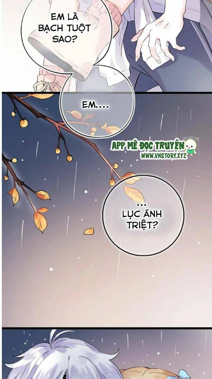 trạch thượng tịch mịch huỳnh hỏa chapter 40 15