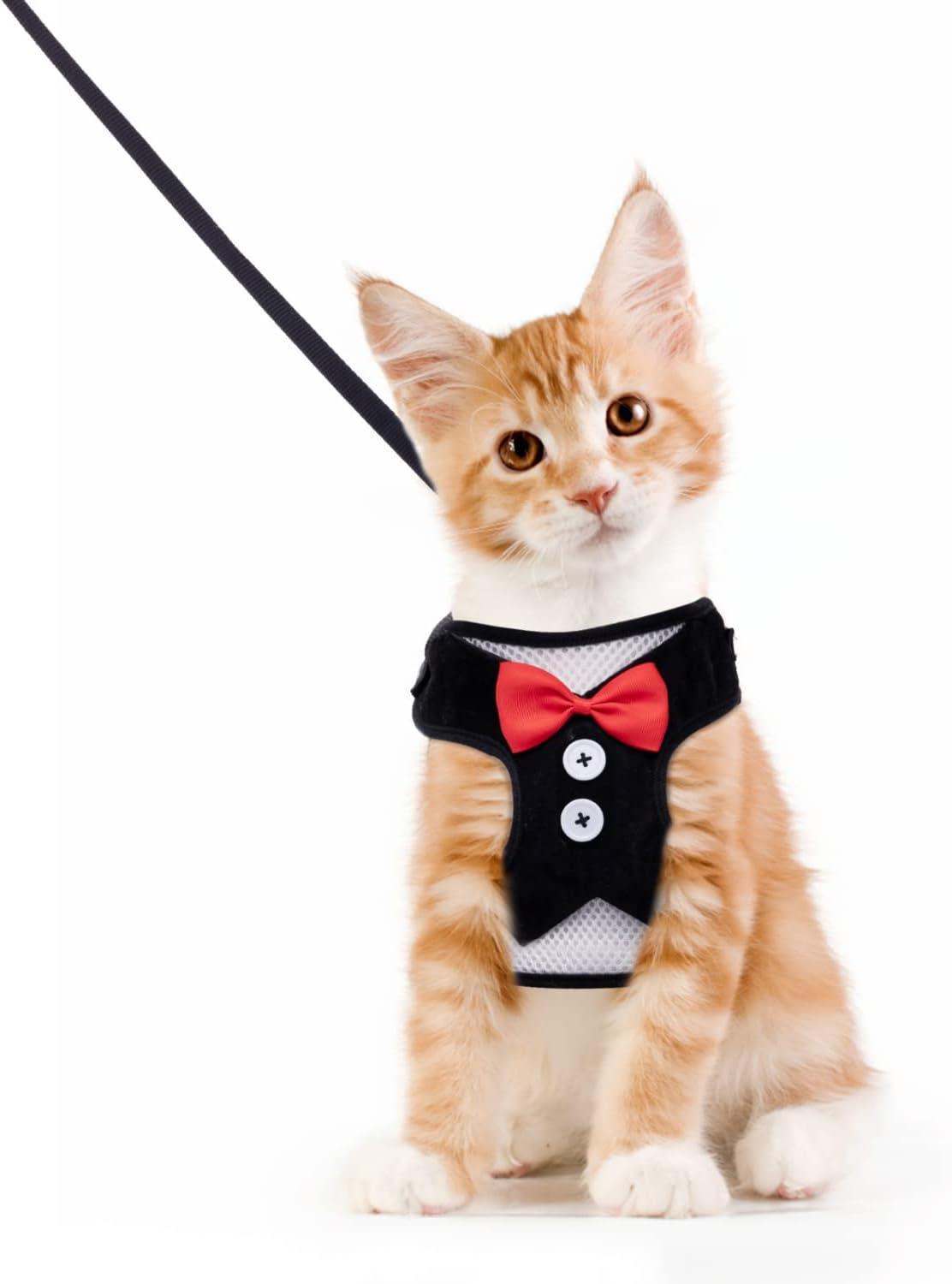 Dây dắt và dây xích cho mèo, Chống thoát hiểm cho mèo có thể điều chỉnh, Váy dự tiệc cho thú cưng nhỏ Puppy Kitten