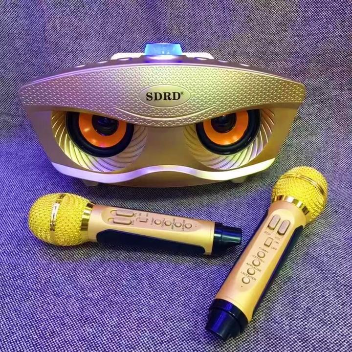 Loa không dây karaoke gia đình SD-306 tặng kèm 2 mic kết nối bluetooth hỗ trợ ghi âm tách lời, hiệu ứng echo BH 12 tháng
