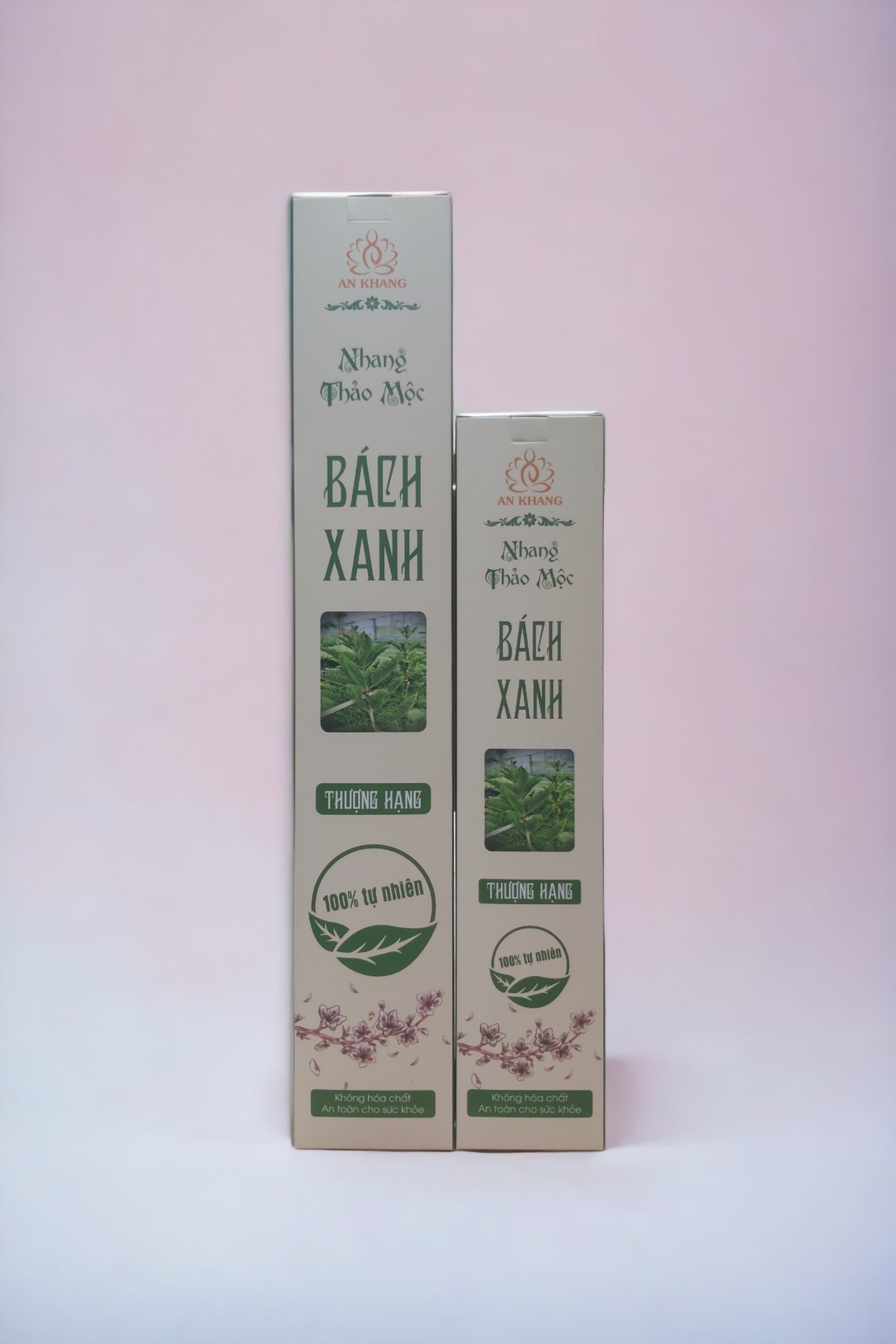 Hộp 100 nén nhang thảo mộc Bách Xanh dài 38cm - không sử dụng hóa chất, ít khói, mùi hương dịu nhẹ