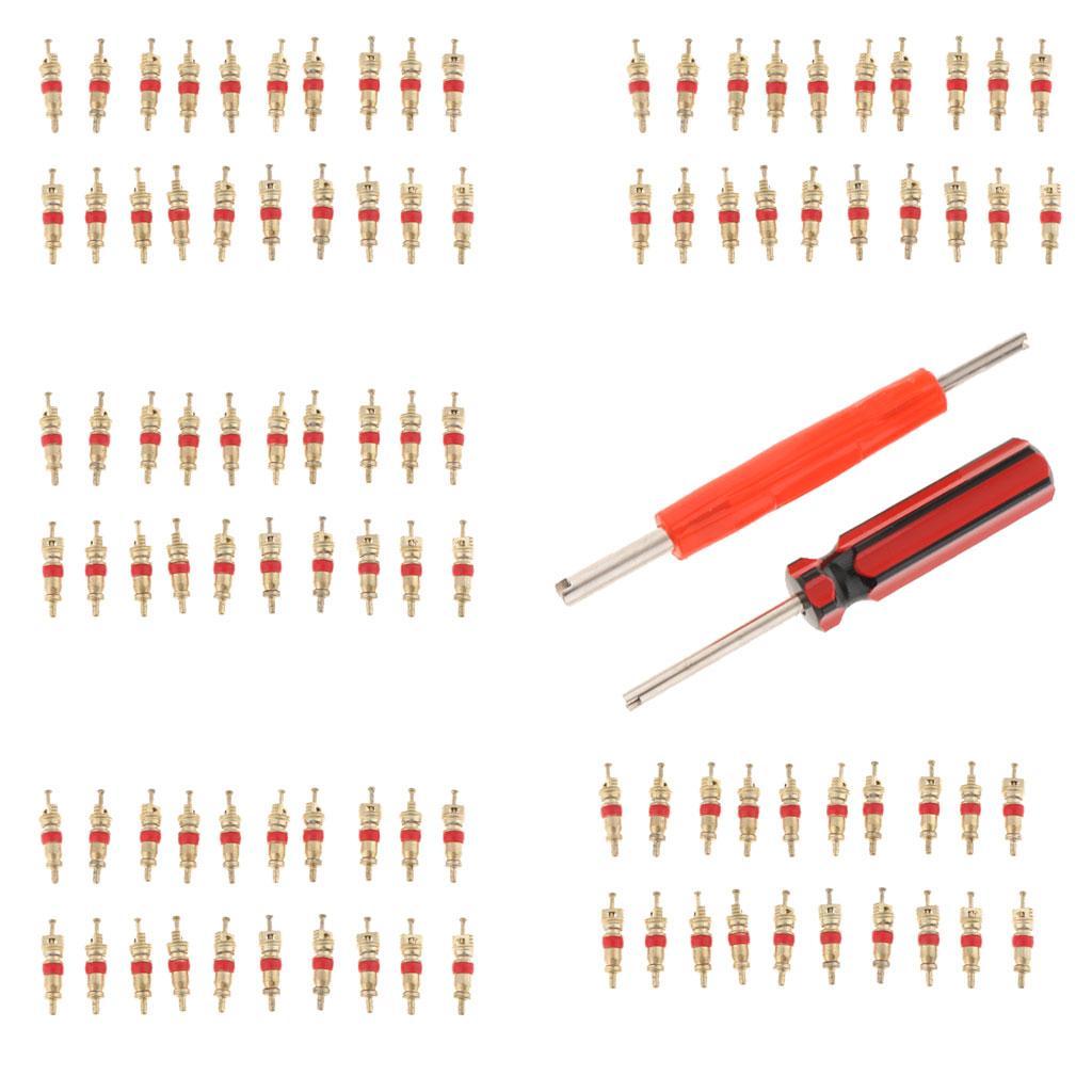 102Pcs Tire Valve Stem Core Part Dual /Single Head Valve Core Remover Set