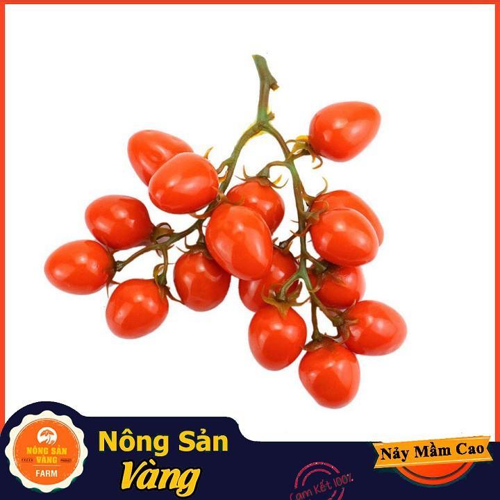 Hạt giống Cà Chua Cherry Đỏ ( Gói 20 hạt )