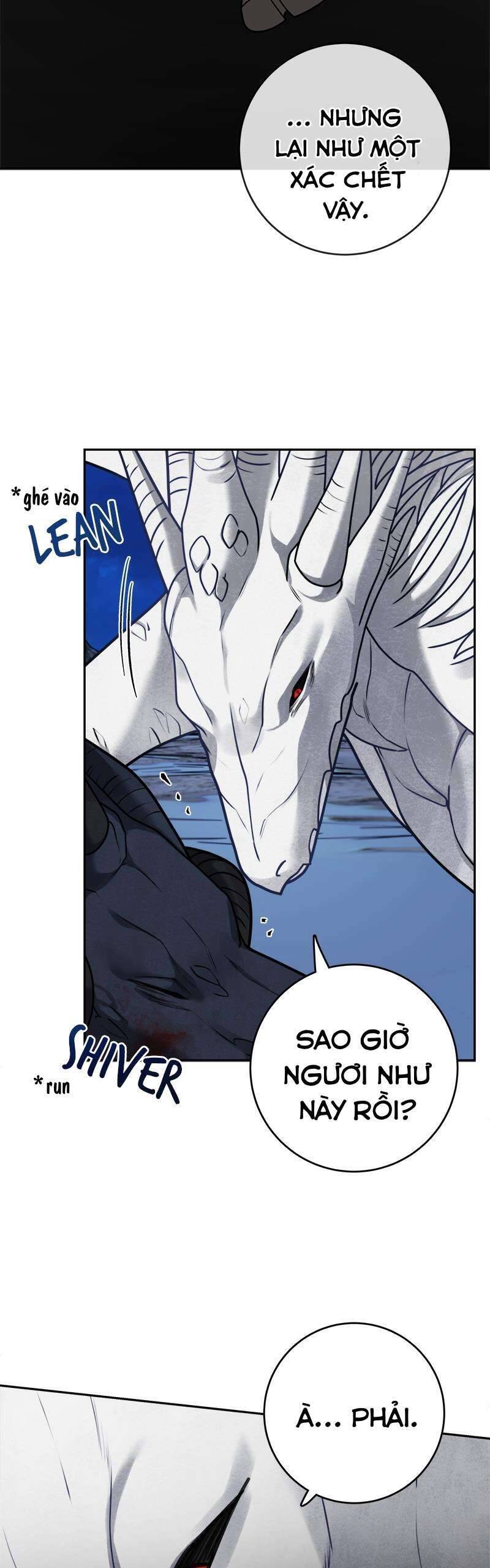 nhật ký tuần trăng mật của phù thủy và rồng chapter 111 22