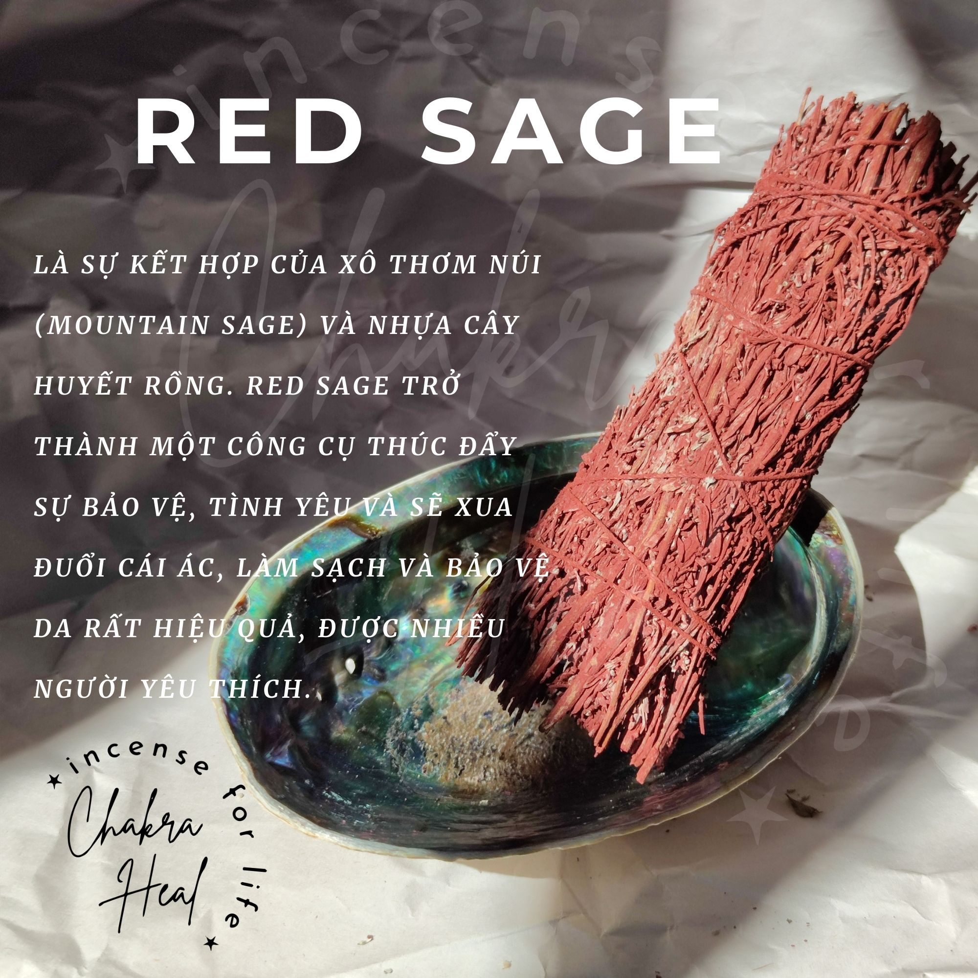 Red Sage Thảo Mộc Tinh Thần - Mountain Sage mix Dragon Blood Resin l Charka Heal Incense