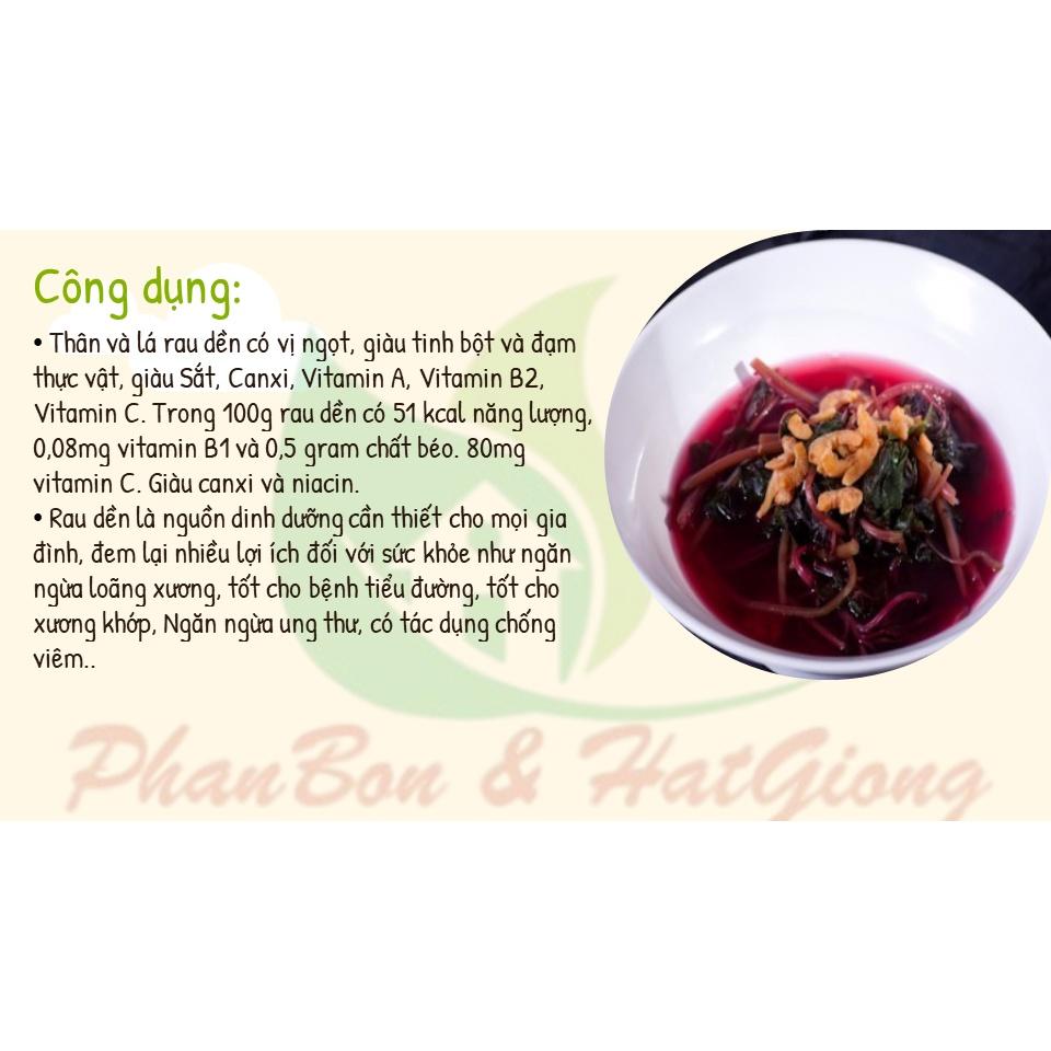 Hạt Giống Rau Dền Tía Phú Nông Seeds - Shop Phân Bón và Hạt Giống
