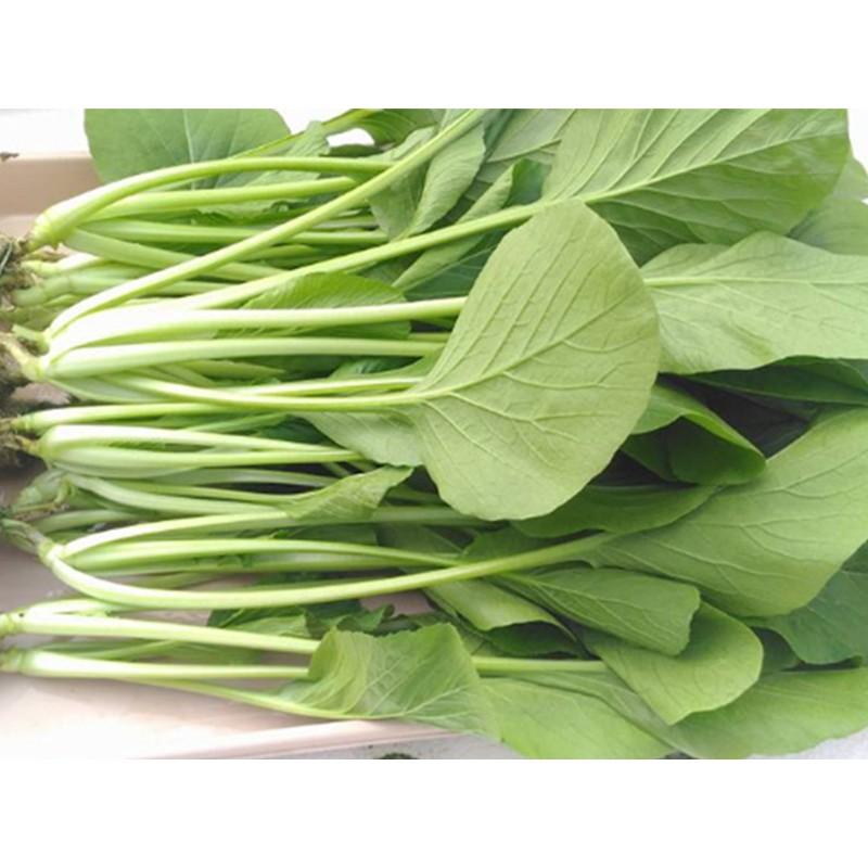 Hạt Giống Rau Cải Ngọt Giòn Ngọt, Năng Suất Cao - Phú Nông Seeds - Shop Phân Bón và Hạt Giống