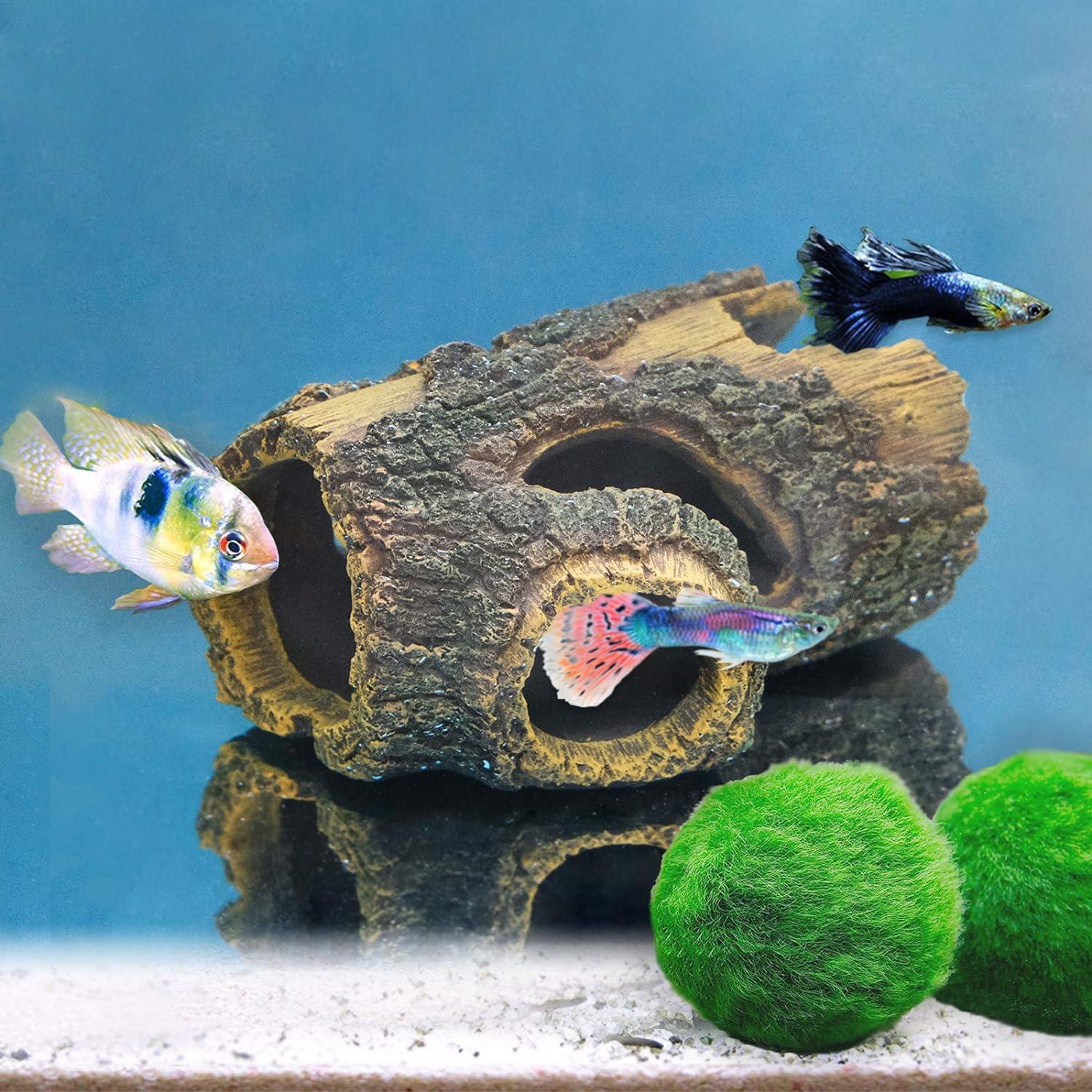 Đồ trang trí hồ cá nhựa cây Trunk House Hideout Hang nơi trú ẩn cho cá nhỏ tôm trong bể cá décor Halloween Décor