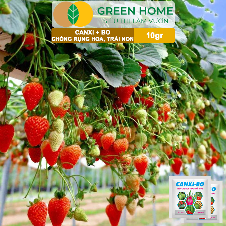 Phân Bón Canxi Bo Greenhome, Viên 10Gr, Tăng Đậu Trái, Chống Rụng Hoa Và Trái Non, Chống Thối Trái