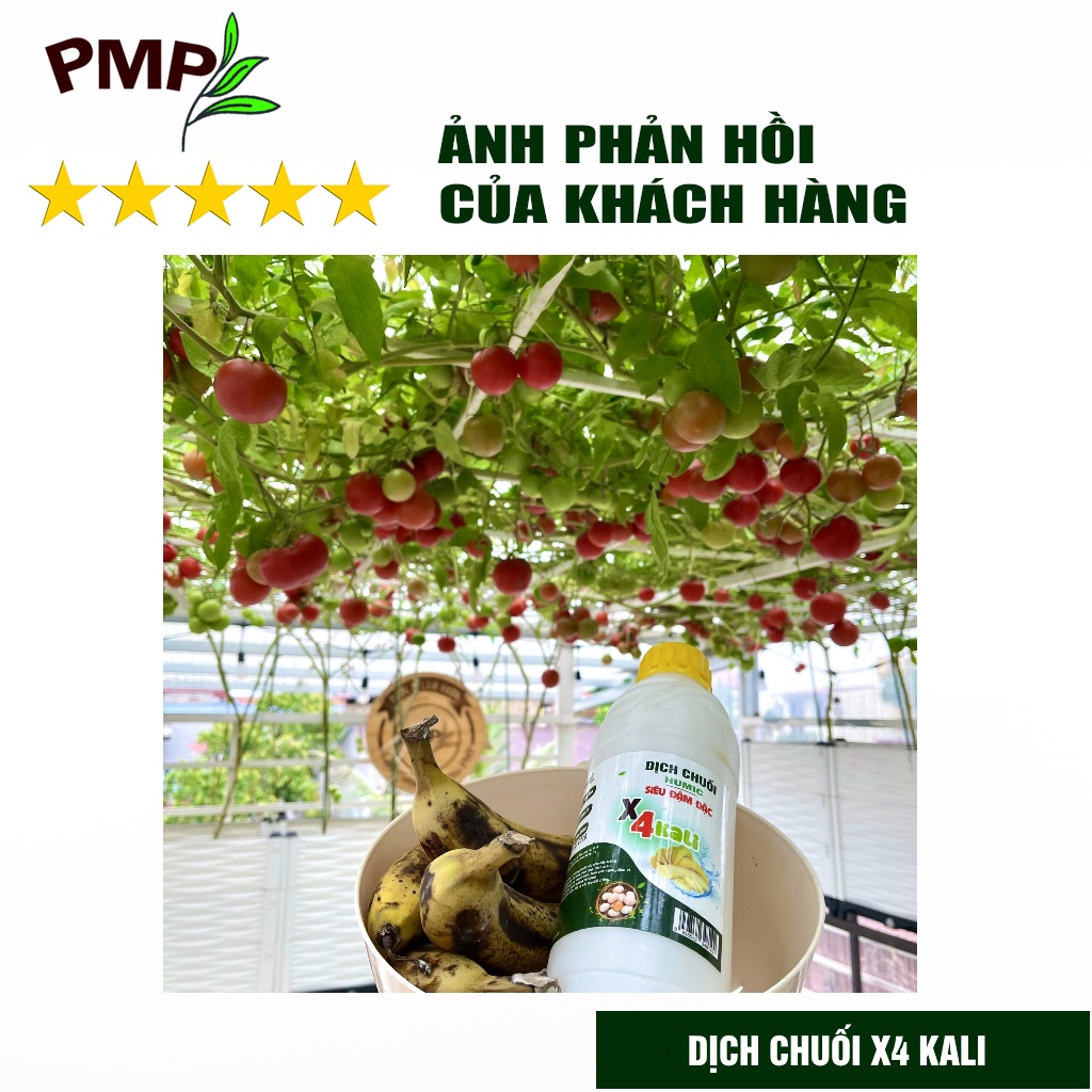 Dịch Chuối Humic X4 PMP Đậm Đặc Gấp 4 Lần - Cho hoa hồng, Hoa lan, Cây cảnh, Rau sạch 1000ml