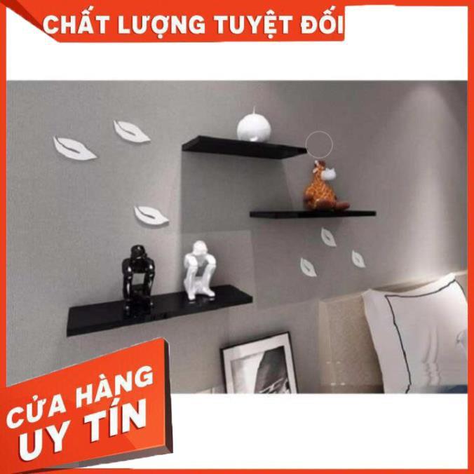 Kệ Gỗ Treo TườngCOMBO 3 Thanh Ngang Dài 40cm x Rộng 15cm