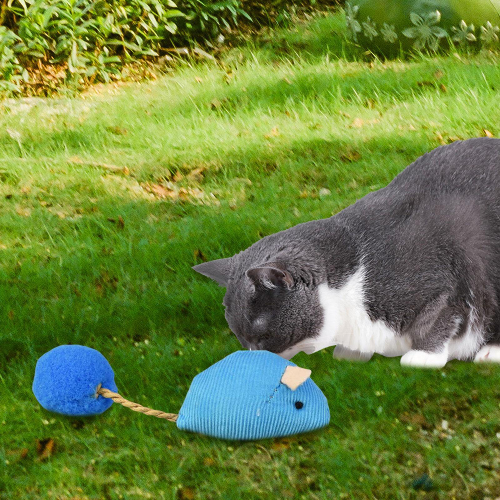 Cat , Cat Toy Soft Small Cat Toys for Indoor Cats Interactive Cat Toy for Cats and Kitten