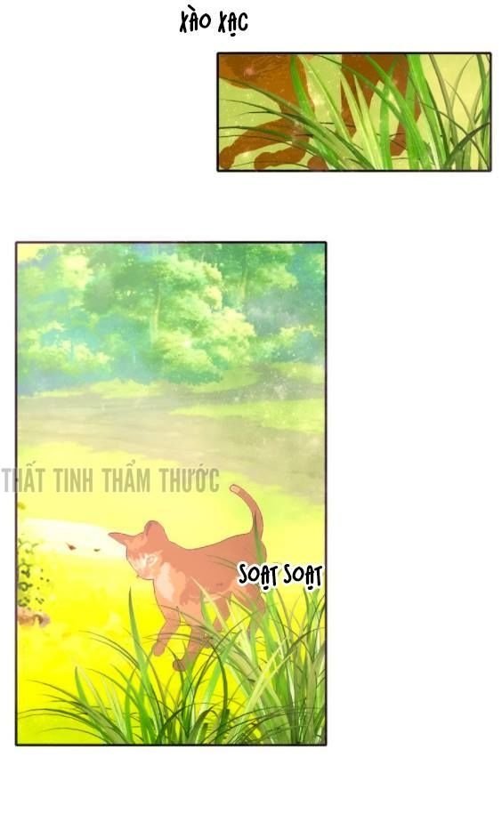 mộng văn sơn hải kinh chapter 9 19