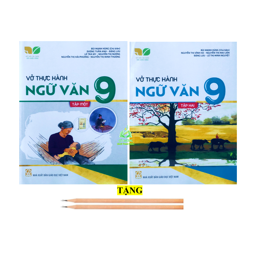 Sách - Vở thực hành ngữ văn 9 - tập 2 (Kết nối tri thức với cuộc sống)
