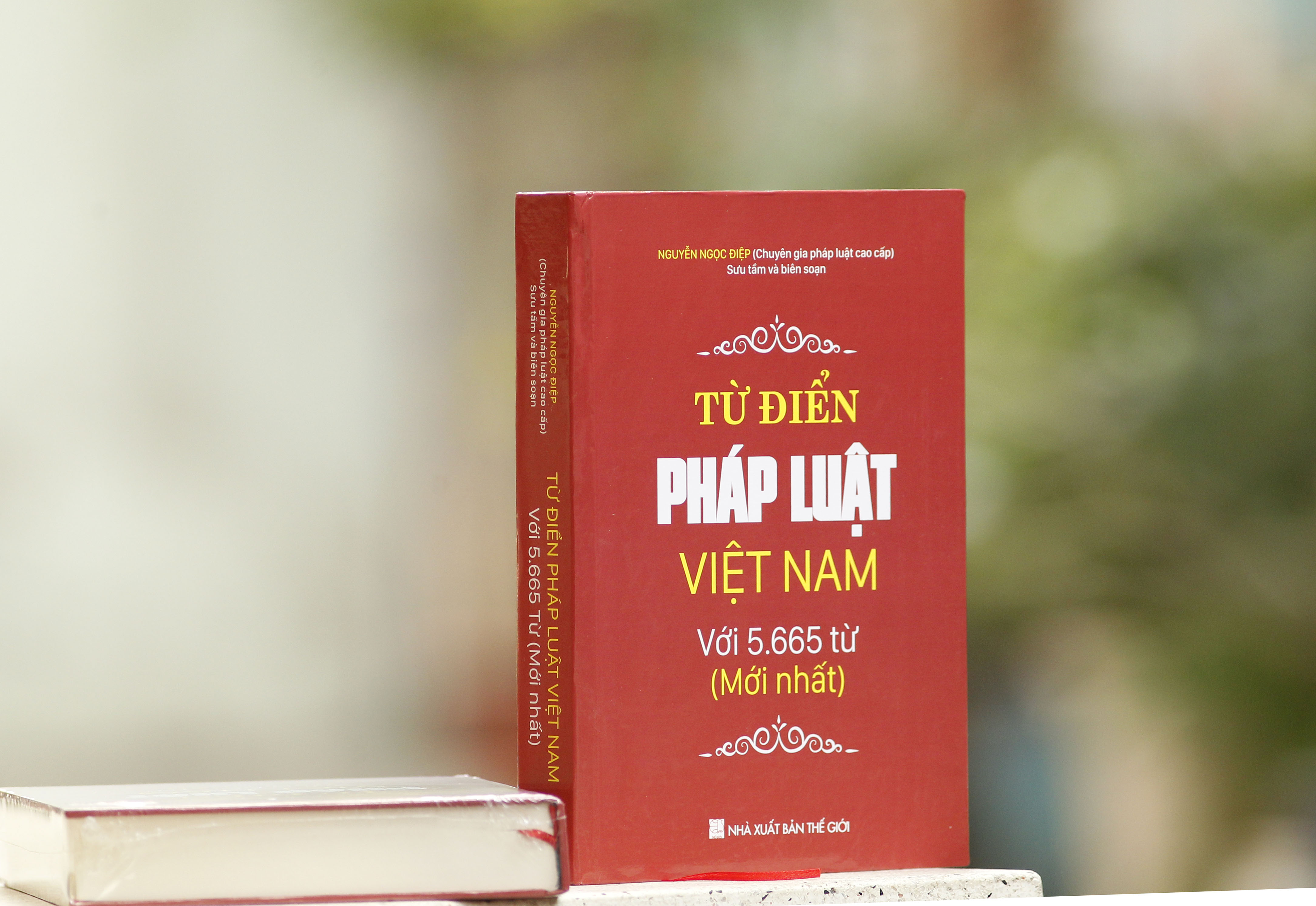 Từ điển pháp luật Việt Nam