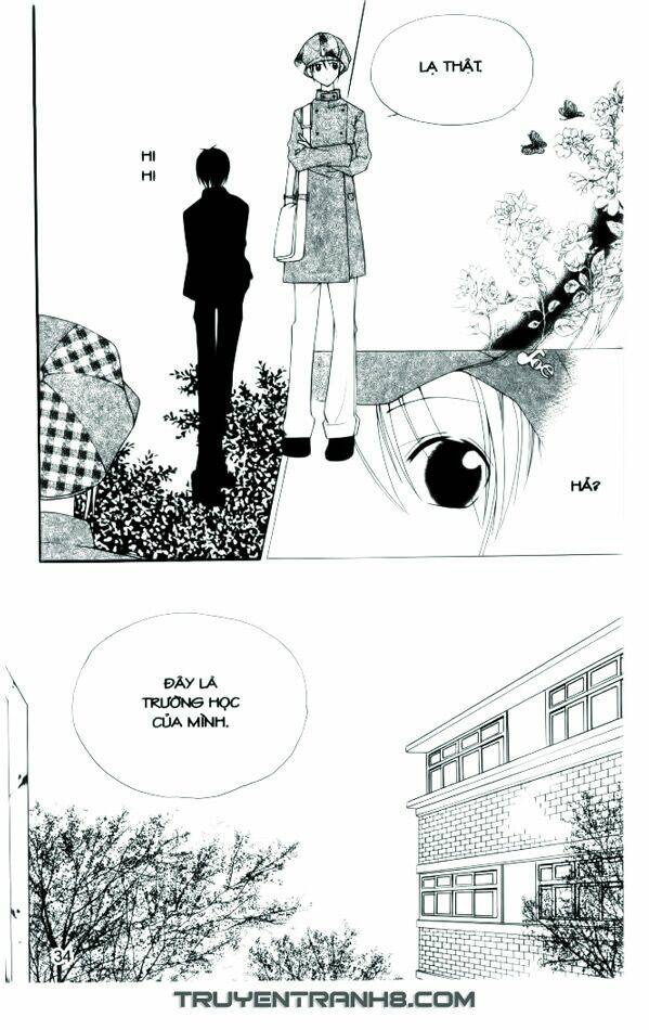 ngọc trong đá-ace chapter 2 10