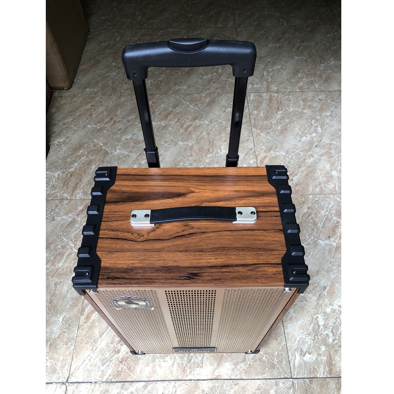 Loa kéo karaoke cao cấp Mitsunal T1209, BASS 30CM - Hàng chính hãng