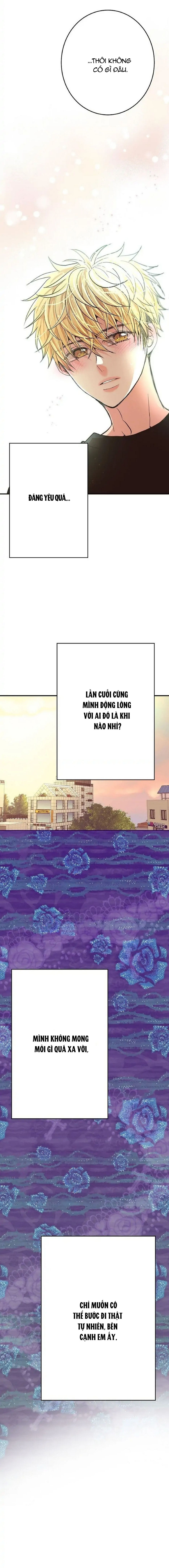 mối quan hệ phù hợp chapter 10 24