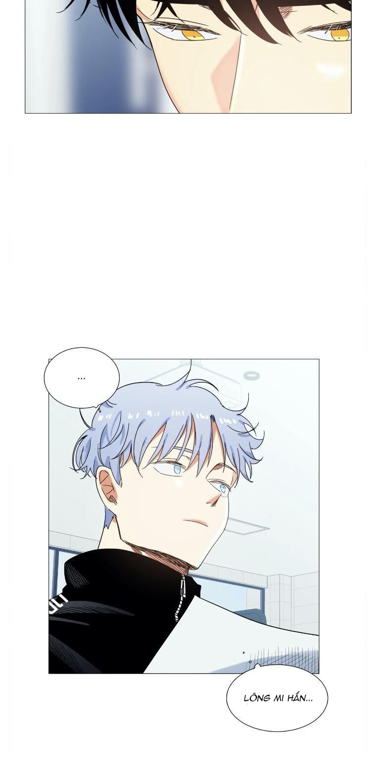 hôm nay lại là một ngày nắng ấm chapter 17 23