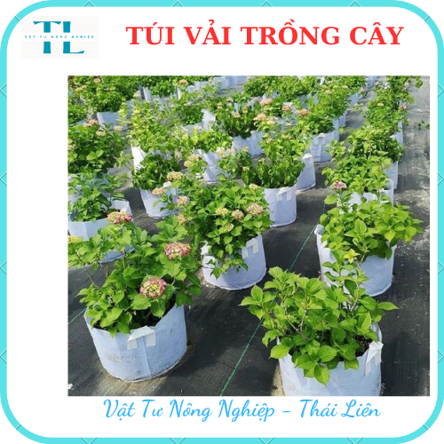 Túi vải trồng cây 2 quai, túi vải ươm dưỡng kích thước 40x40 siêu rẻ, siêu bền, tiện lợi, dễ sử dụng