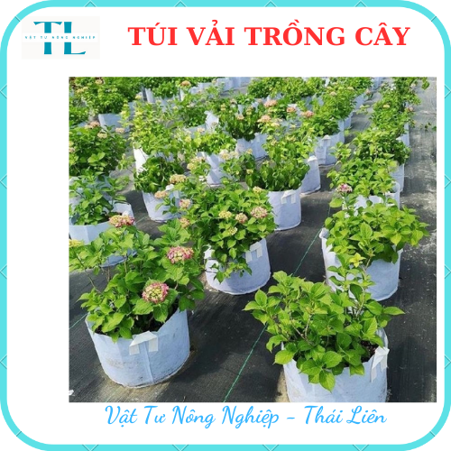 [Siêu dày]Túi vải trồng cây 2 quai, túi vải ươm dưỡng  kích thước 40x40 siêu rẻ, siêu bền, tiện lợi, dễ sử dụng