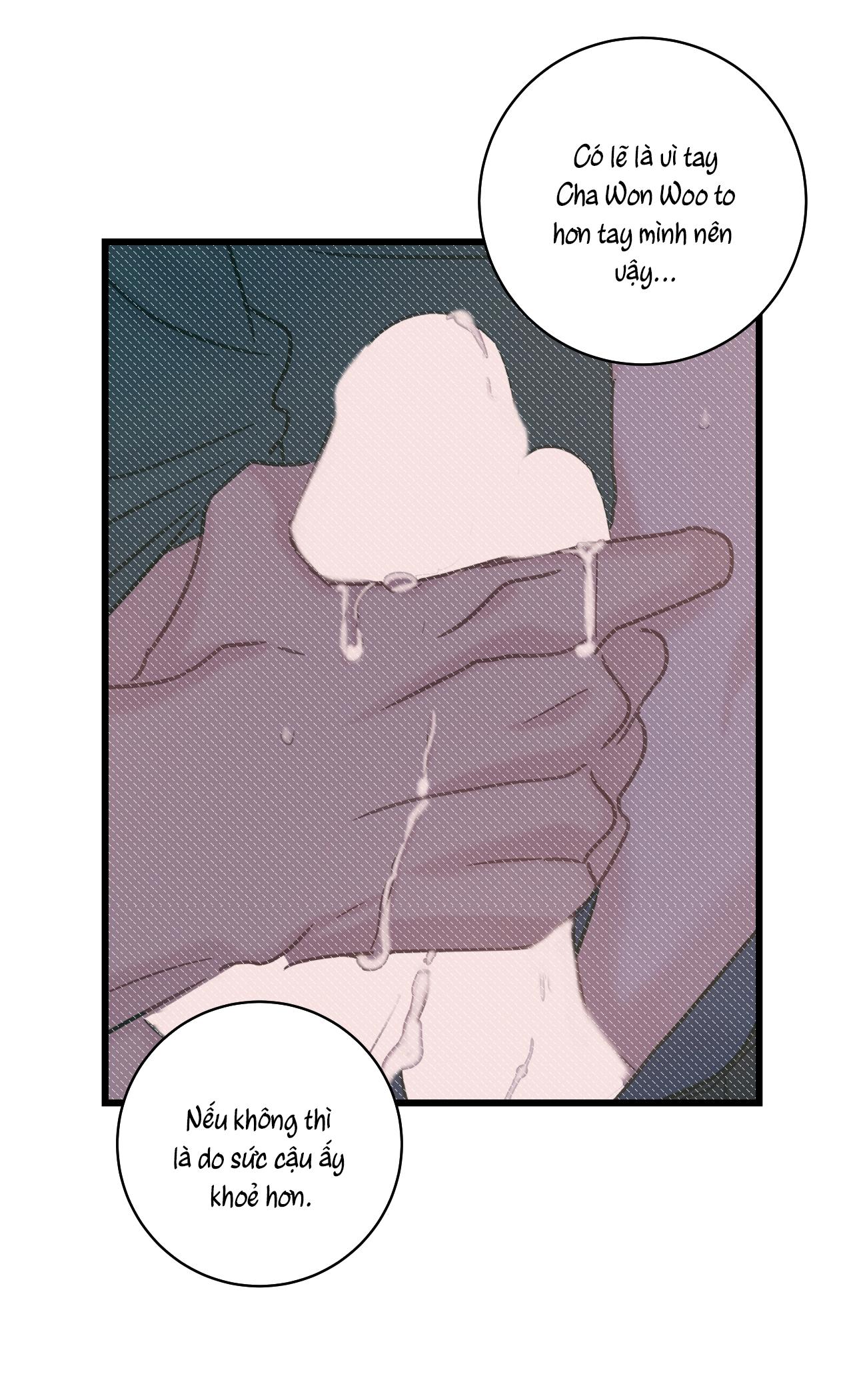 tình yêu bình dị nhất chapter 19 8