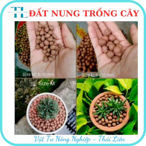 Hạt đất nung trồng cây thái lan, nhiều size, vô trùng, sử dụng lâu dài, trồng sen đá, phong lan, sứ, thuỷ canh