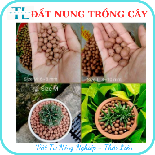 Hạt đất nung trồng cây thái lan, nhiều size, vô trùng, sử dụng lâu dài, trồng sen đá, phong lan, sứ, thuỷ canh (Bịch 1dm3 = 0.5kg)