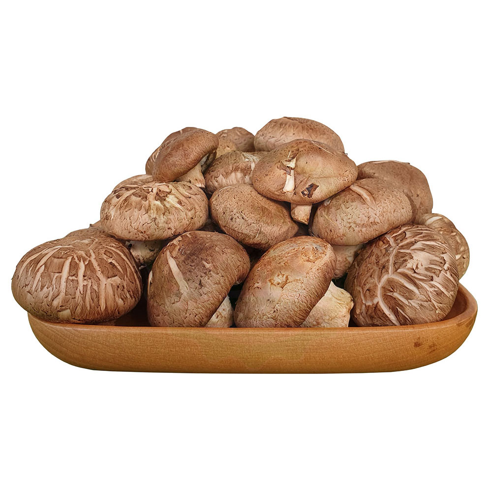Nấm Hương Tươi 100gr 200gr 500gr - Nông Trại Nấm Xanh