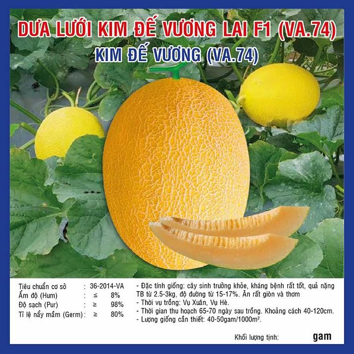 100 Hạt Dưa Lưới Vàng