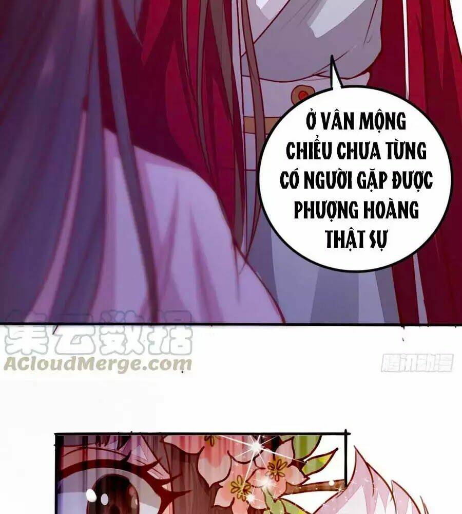 thần y khí nữ: ngự thú cuồng phi của quỷ đế chapter 62 7