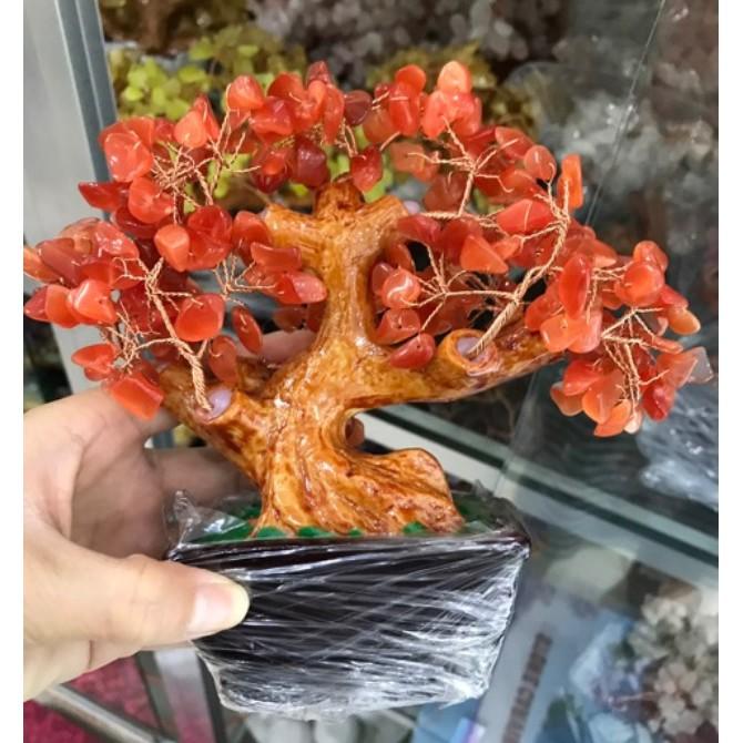 CÂY PHONG THỦY ĐÁ SIZE 16CM