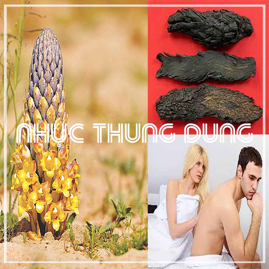 Nhục Thung Dung khô đóng gói 500g hút chân không