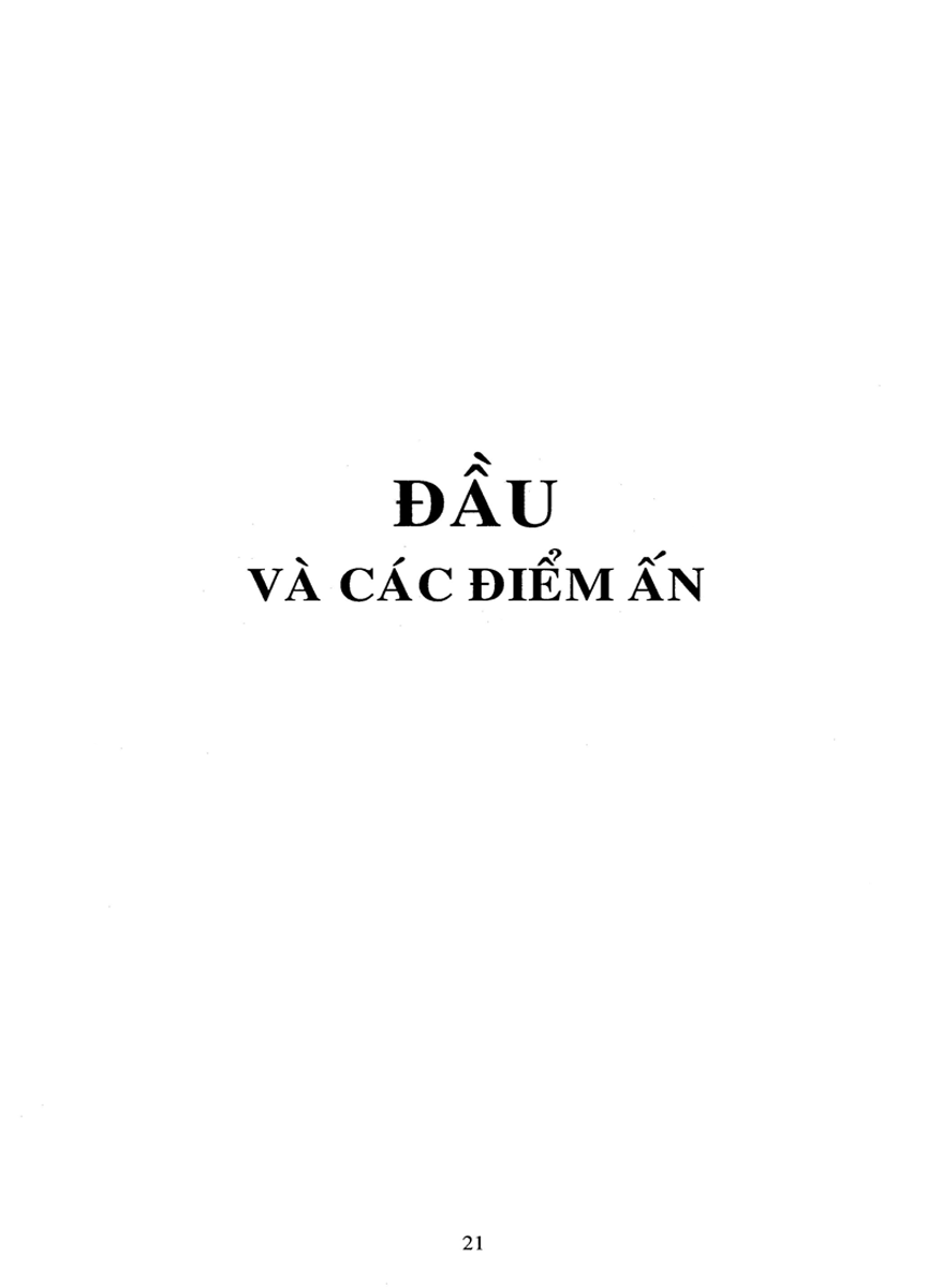 BẤM HUYỆT CHỮA BỆNH VÀ BẢO VỆ SỨC KHOẺ_QB