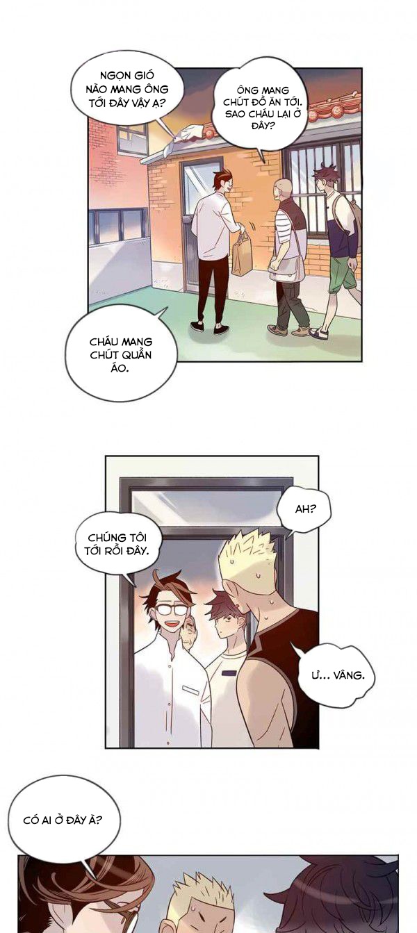 tôi muốn bay như một con bướm chapter 37 21