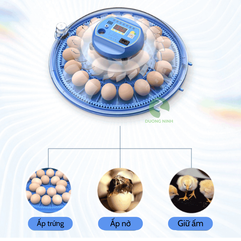 Máy ấp trứng gà mini thông minh Dương Ninh tự đảo hiện đại MAT71