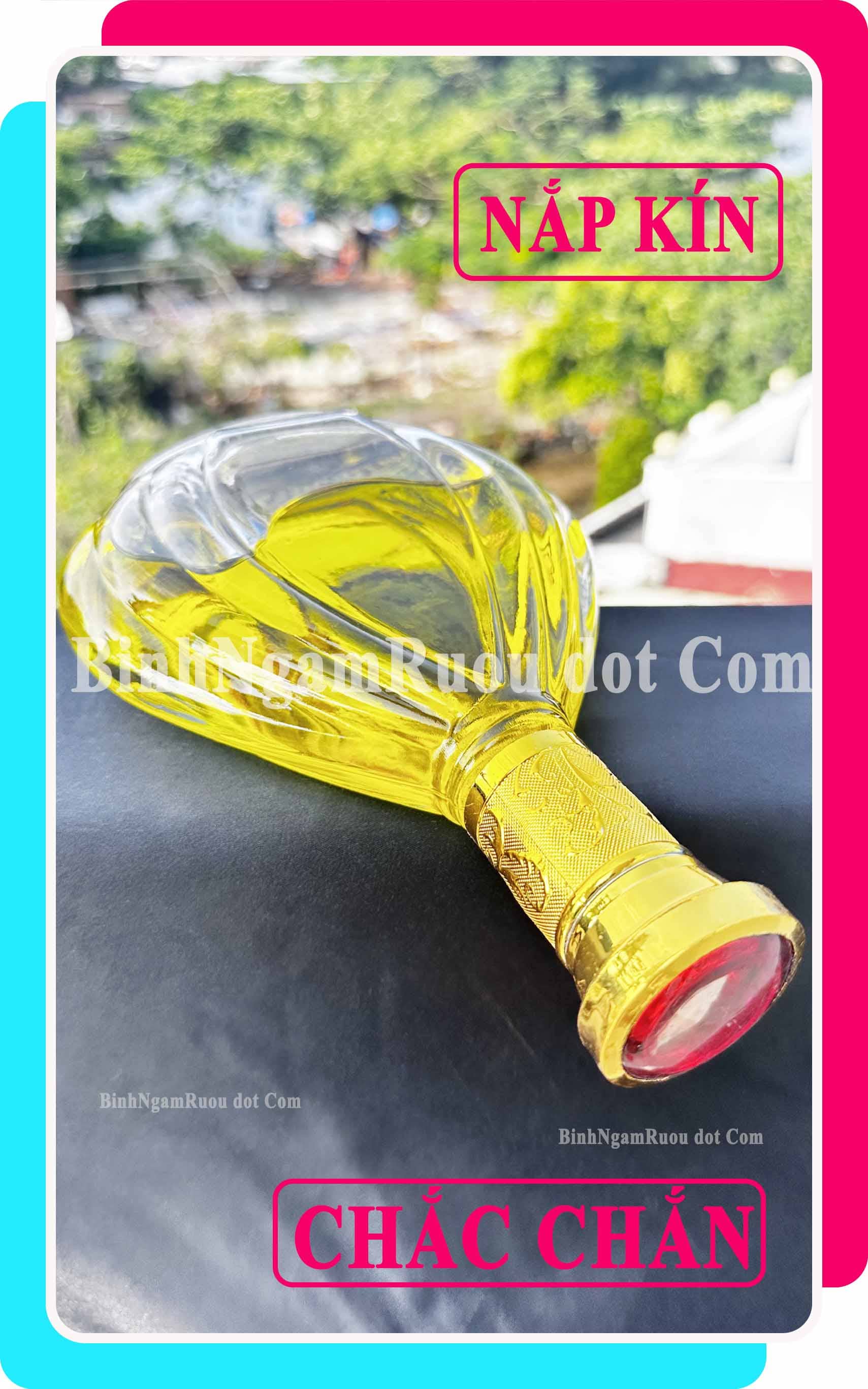 C32 Chai Đựng Rượu XO Quạt Nắp Vàng 500ml - Đẹp Cao Cấp - Nắp Kín Thủy Tinh Trong - Tặng Biếu Sang Trọng