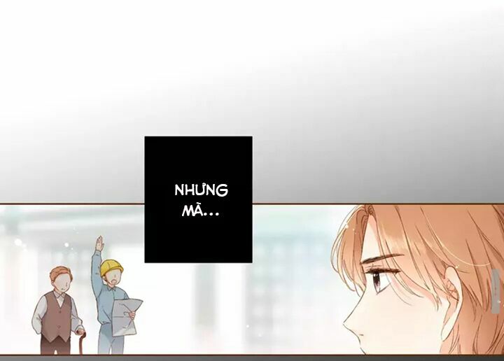 Tình yêu là màu hoa anh thảo chapter 31.2 17