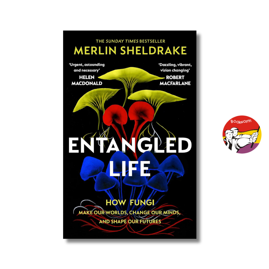 Sách - Entangled Life How Fungi Make Our Worlds, Change Our Minds &amp; Shape Our Futures - English Book