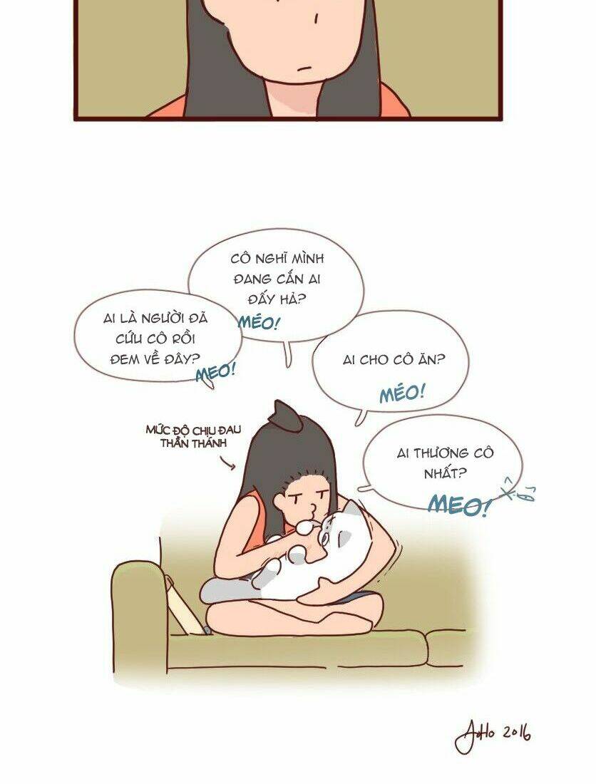 saphie: chú mèo một mắt chapter 7 7