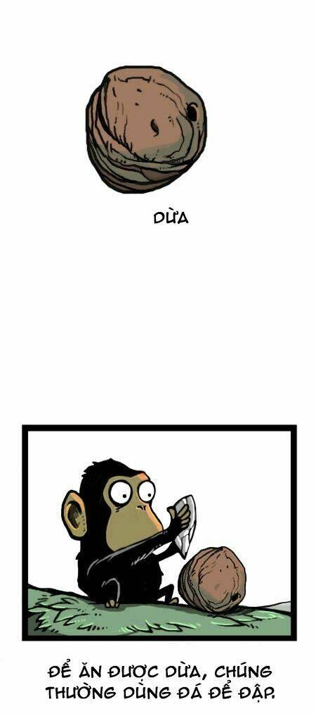 earth, human, and animal chapter 15 15