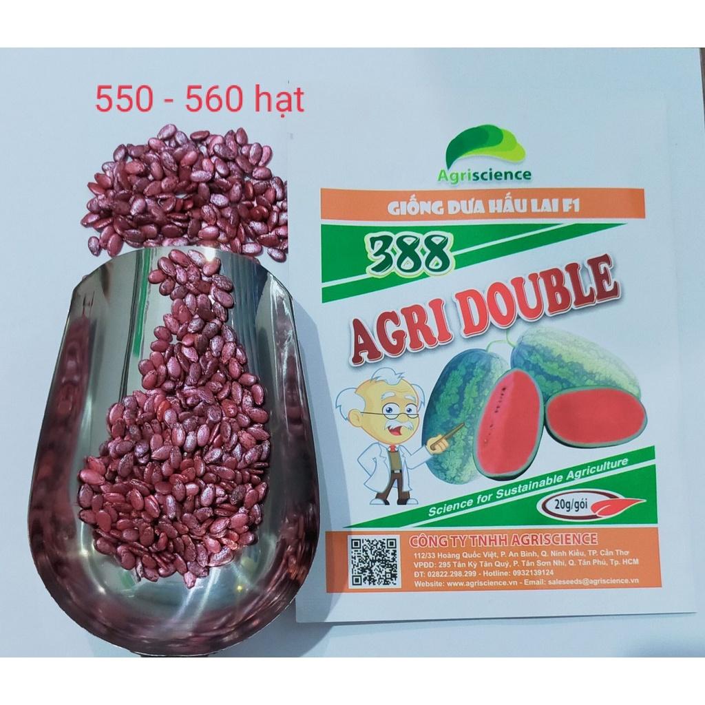 HẠT GIỐNG GIỐNG DƯA HẤU LAI F1 - AGRI DOUBLE 388