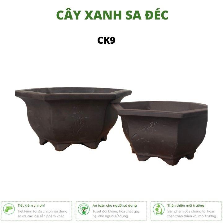 Bộ chậu lục giác mini hoa văn cành trúc và hoa sen 2 kích cỡ CK9