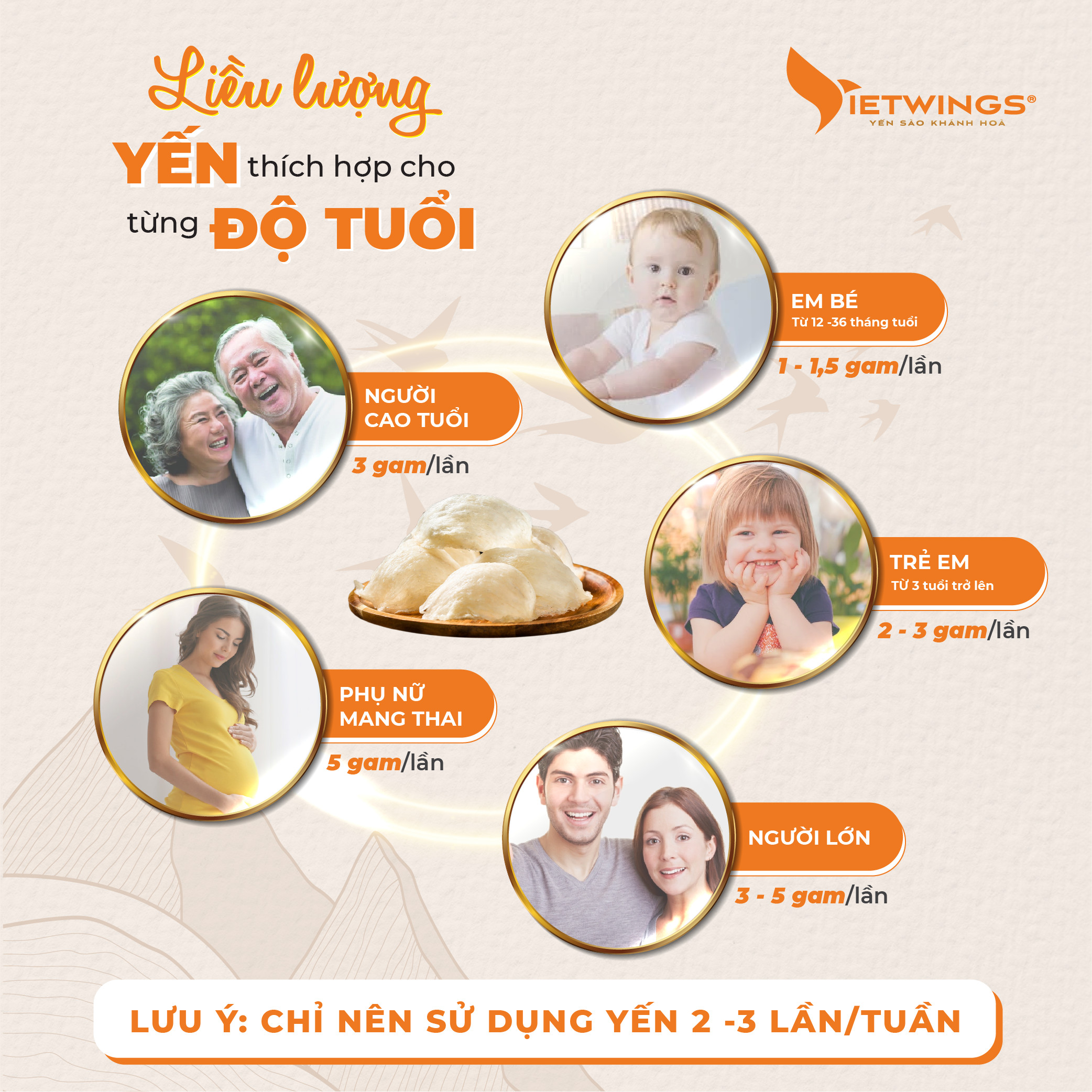 Yến sào đảo Vietwings tinh chế cao cấp 100g