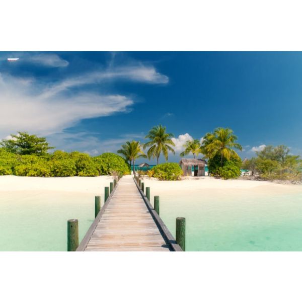 Tranh dán tường 3D | Tranh trang trí nhà cửa 3D | Tranh đẹp 3D | Tranh 3D đặc sắc | T3DMN T6 VAD_SSTH0891
