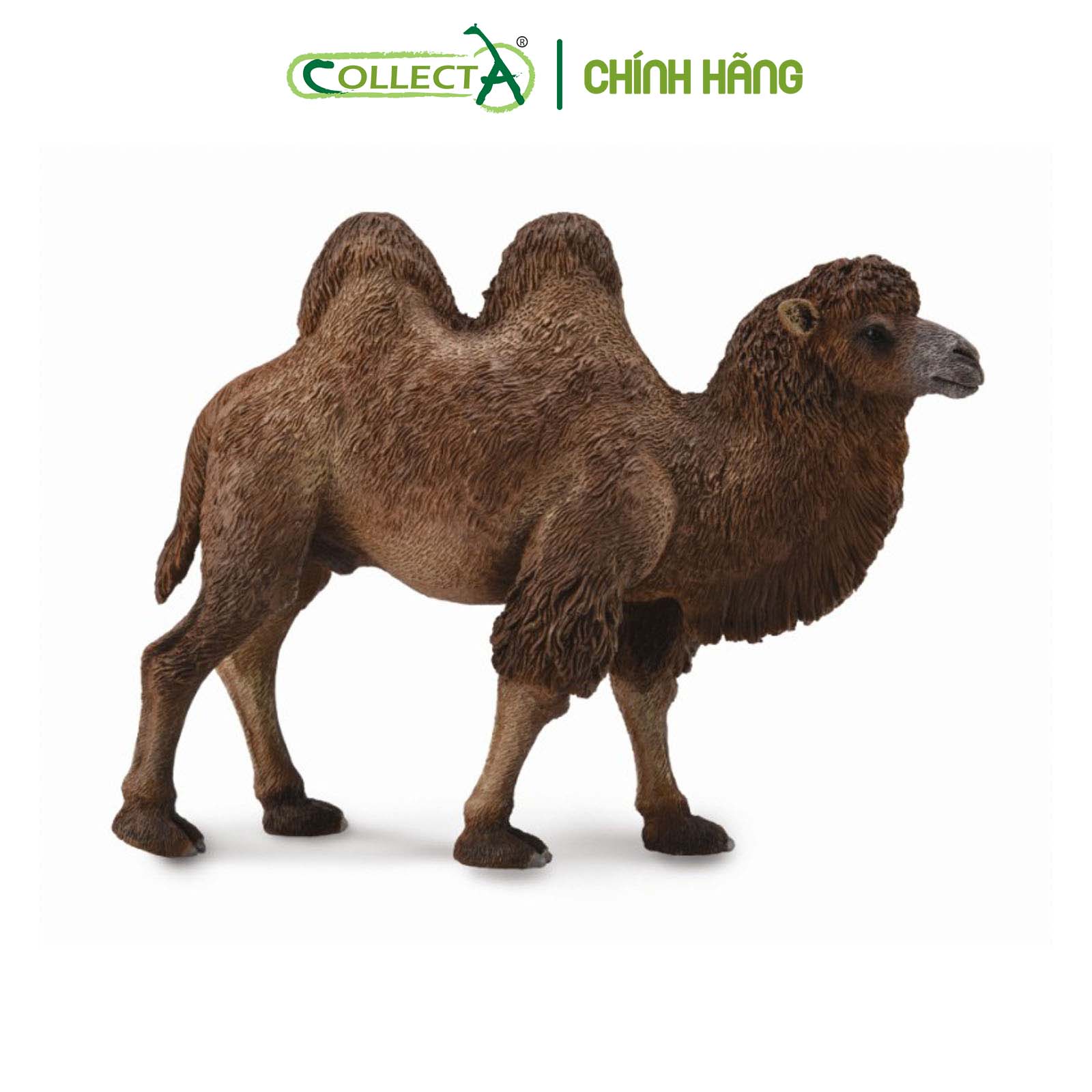 Mô hình thu nhỏ: Lạc Đà - Bactrian Camel, hiệu: CollectA, mã HS 9651180 - Chất liệu an toàn cho trẻ - Hàng chính hãng