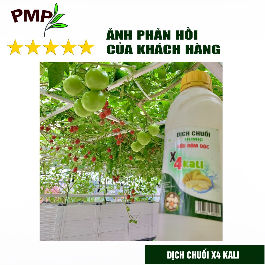Dịch Chuối Humic X4 PMP Đậm Đặc Gấp 4 Lần - Cho hoa hồng, Hoa lan, Cây cảnh, Rau sạch 1000ml
