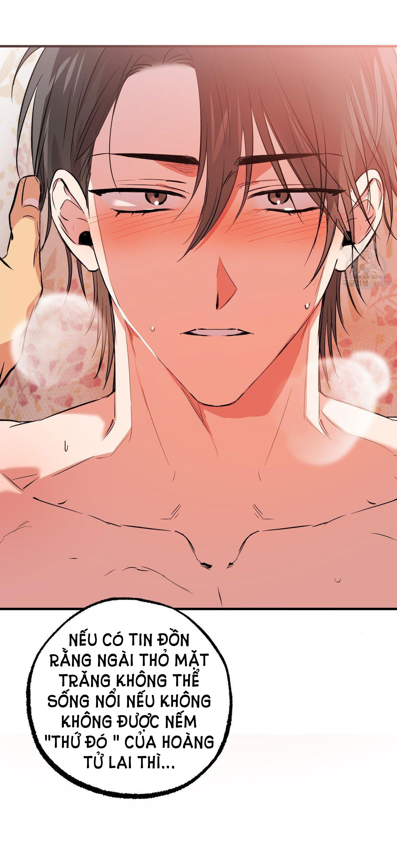 những chú thỏ của hapypy chapter 63.2 55