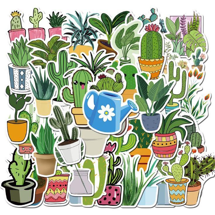 Sticker dán cao cấp CÂY KIỂNG Cực COOL ms#86