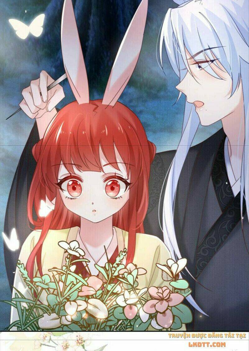 hắc hóa nam chính trực tuyến nuôi thỏ chapter 51 8